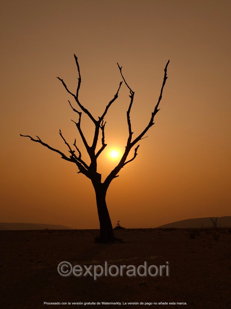 Sossusvlei