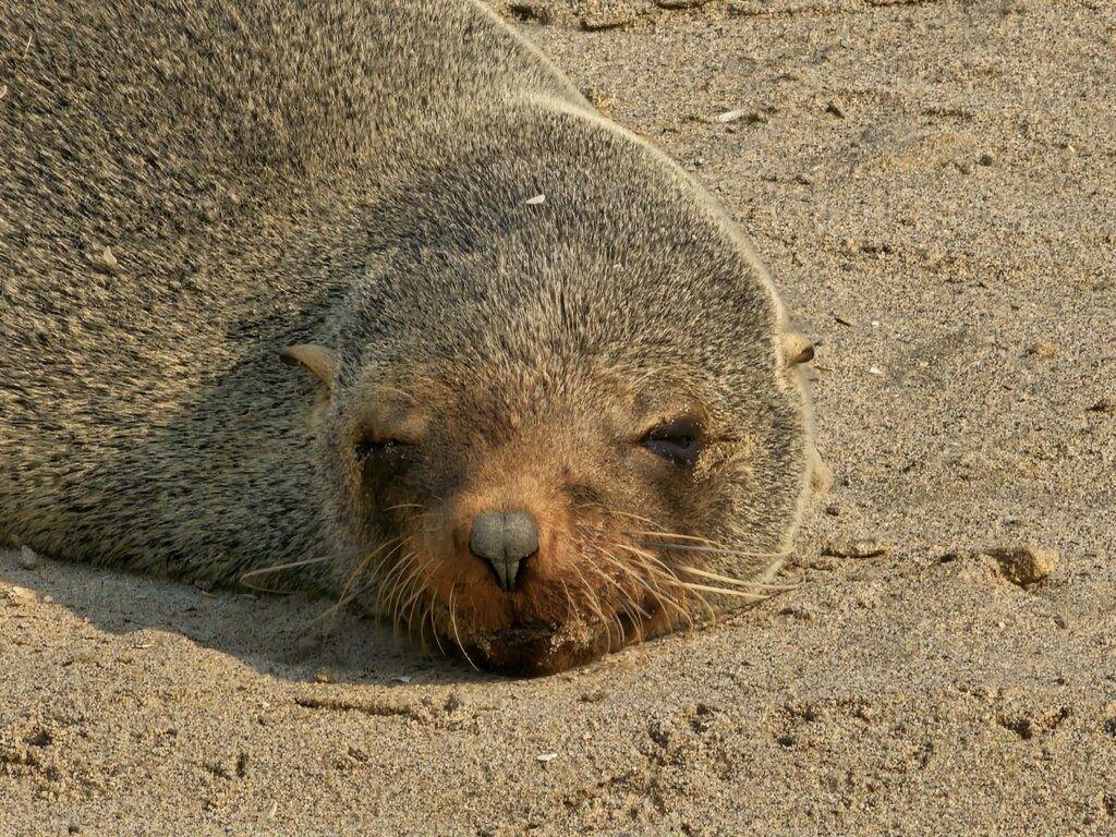 Walvis Bay Namibia