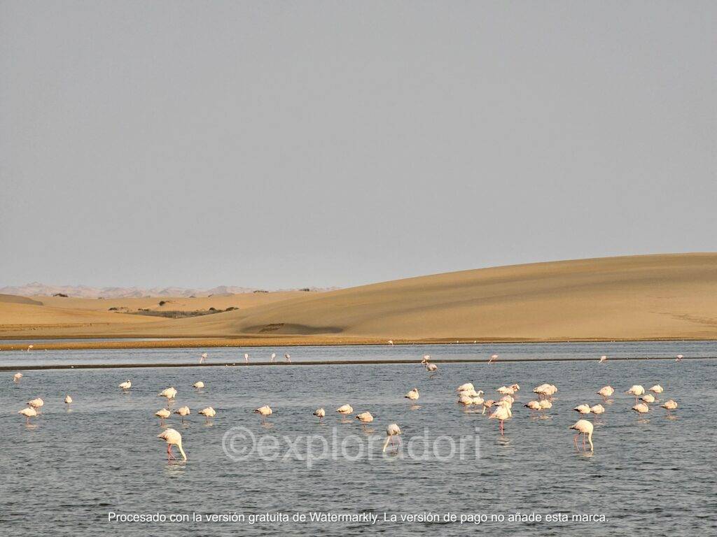 Walvis Bay