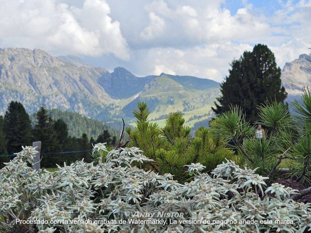 Refugio Odle - Dolomitas Italia